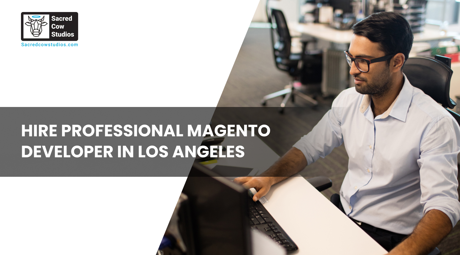 Hire Professional Magento Developer