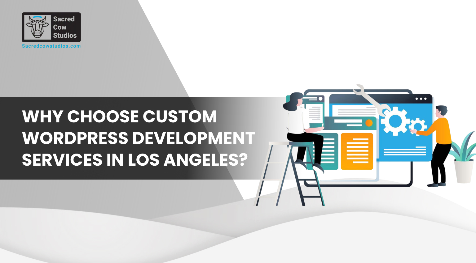 Why Choose Custom WordPress Development