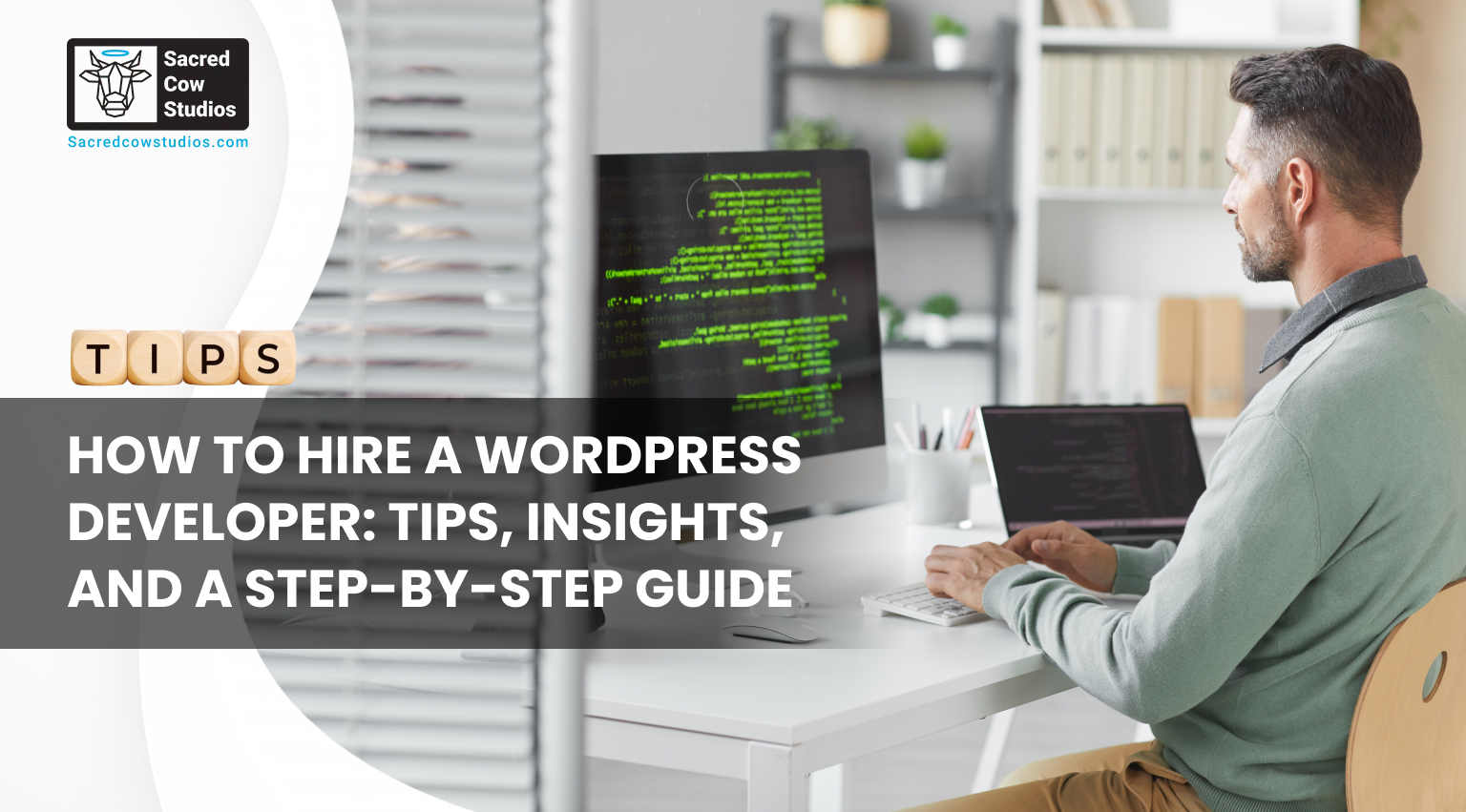 Hire a WordPress Developer